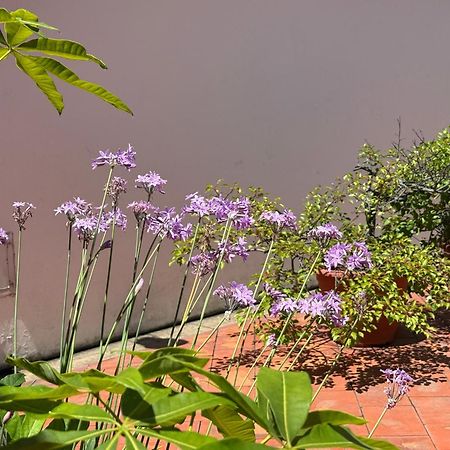 Grace Homestay 54 Jincheng Buitenkant foto