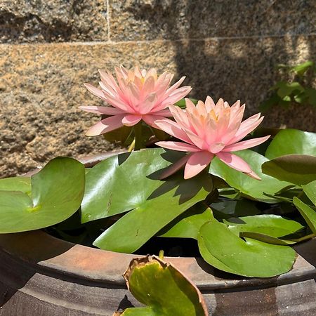 Grace Homestay 54 Jincheng Buitenkant foto