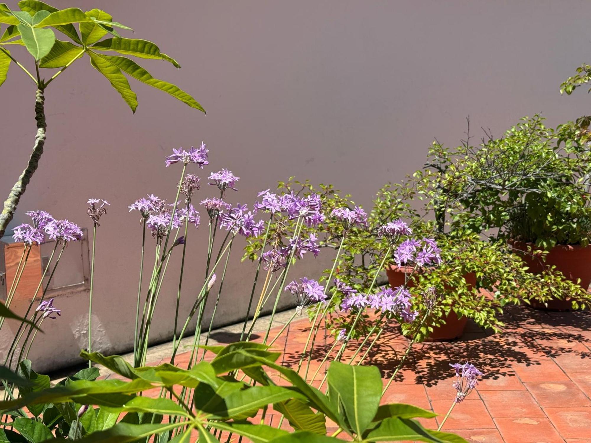 Grace Homestay 54 Jincheng Buitenkant foto