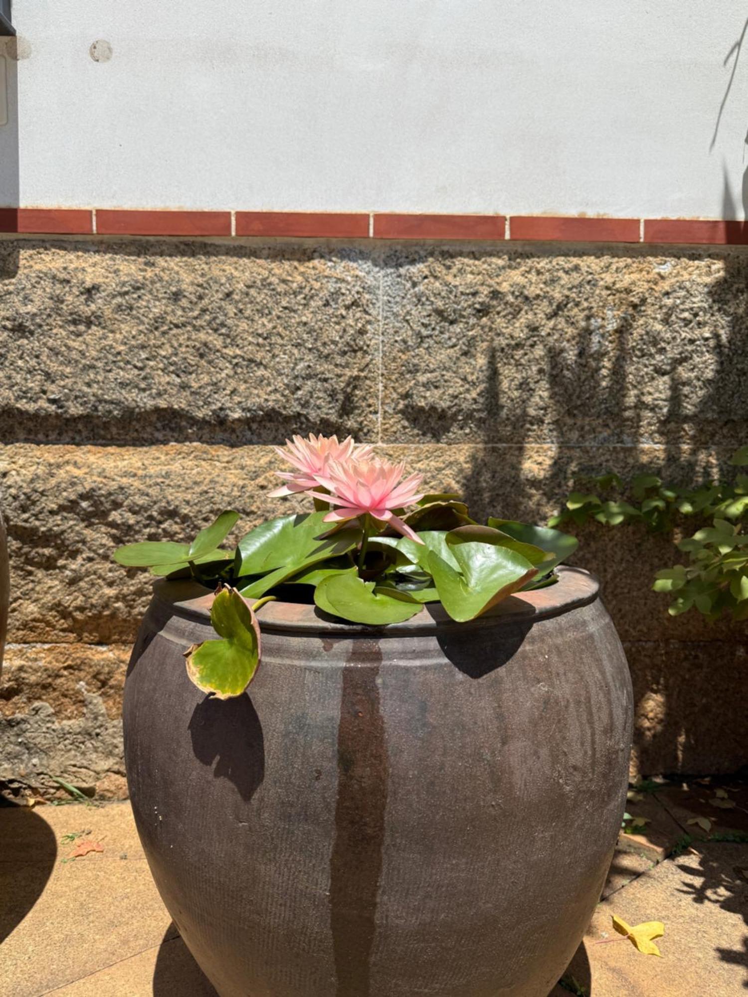 Grace Homestay 54 Jincheng Buitenkant foto