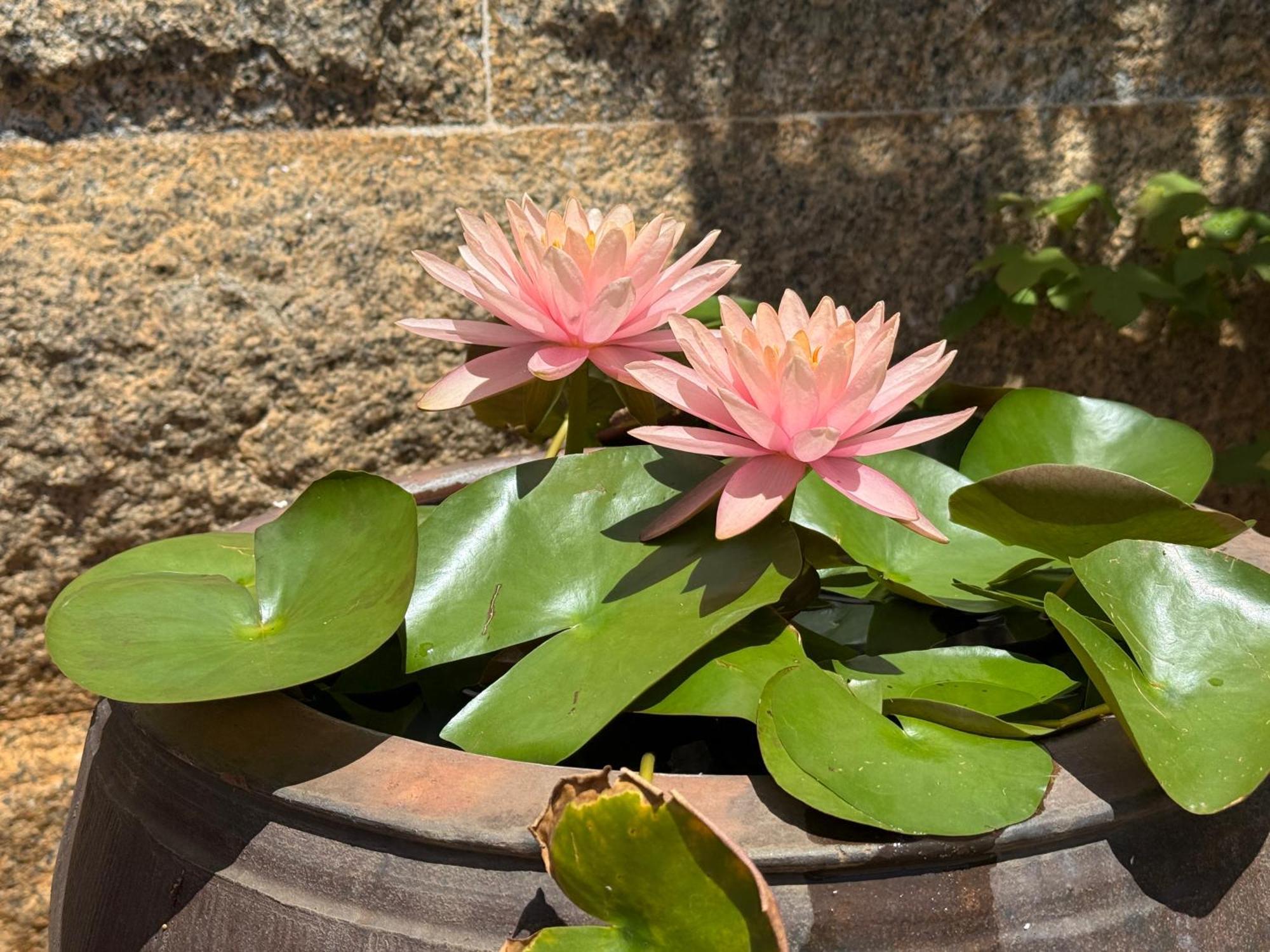 Grace Homestay 54 Jincheng Buitenkant foto